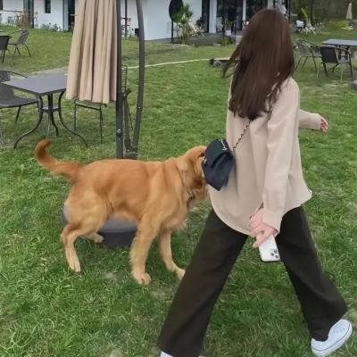 恋爱禁区