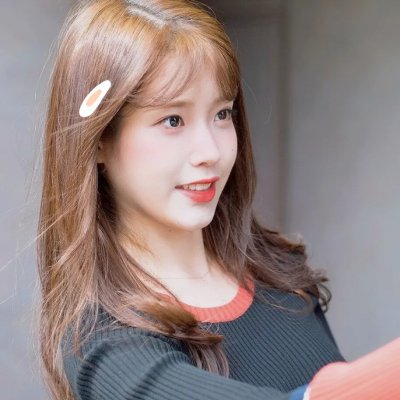 鹬