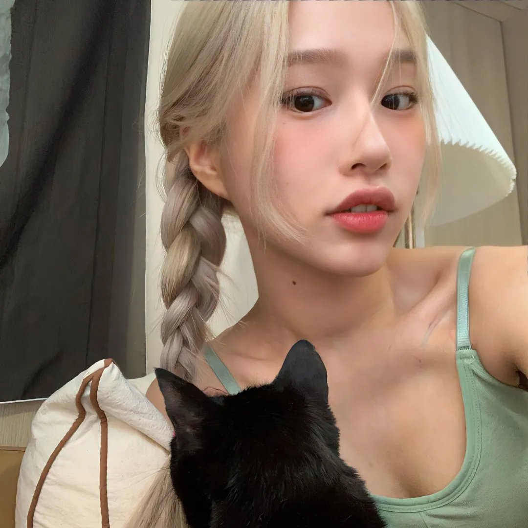 挎斗摩托车里的狗